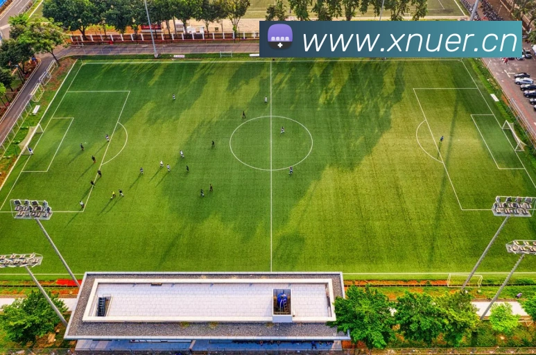 九游网官网登录入口发展历程